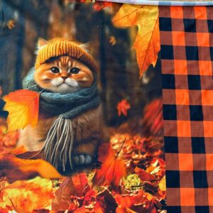 Купон"Котик в шапці"